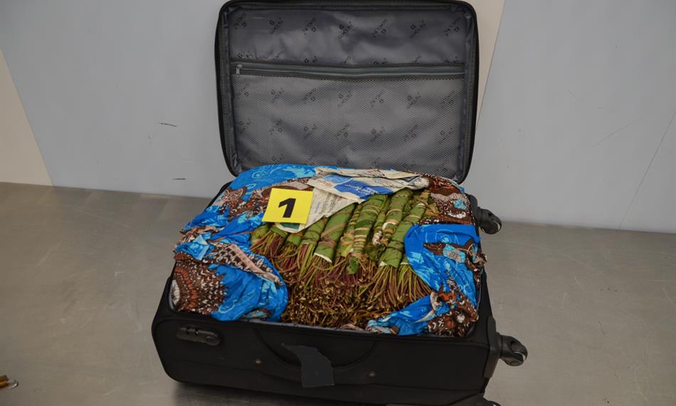 2017-9-27-1340foto 2.jpg